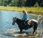 gond. 11 –&nbsp;kopie